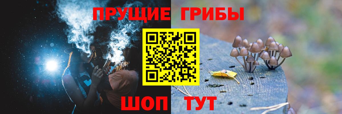 дарнет шоп  Галлюциногенные грибы Magic Shrooms  Вход с VPN  Реж 